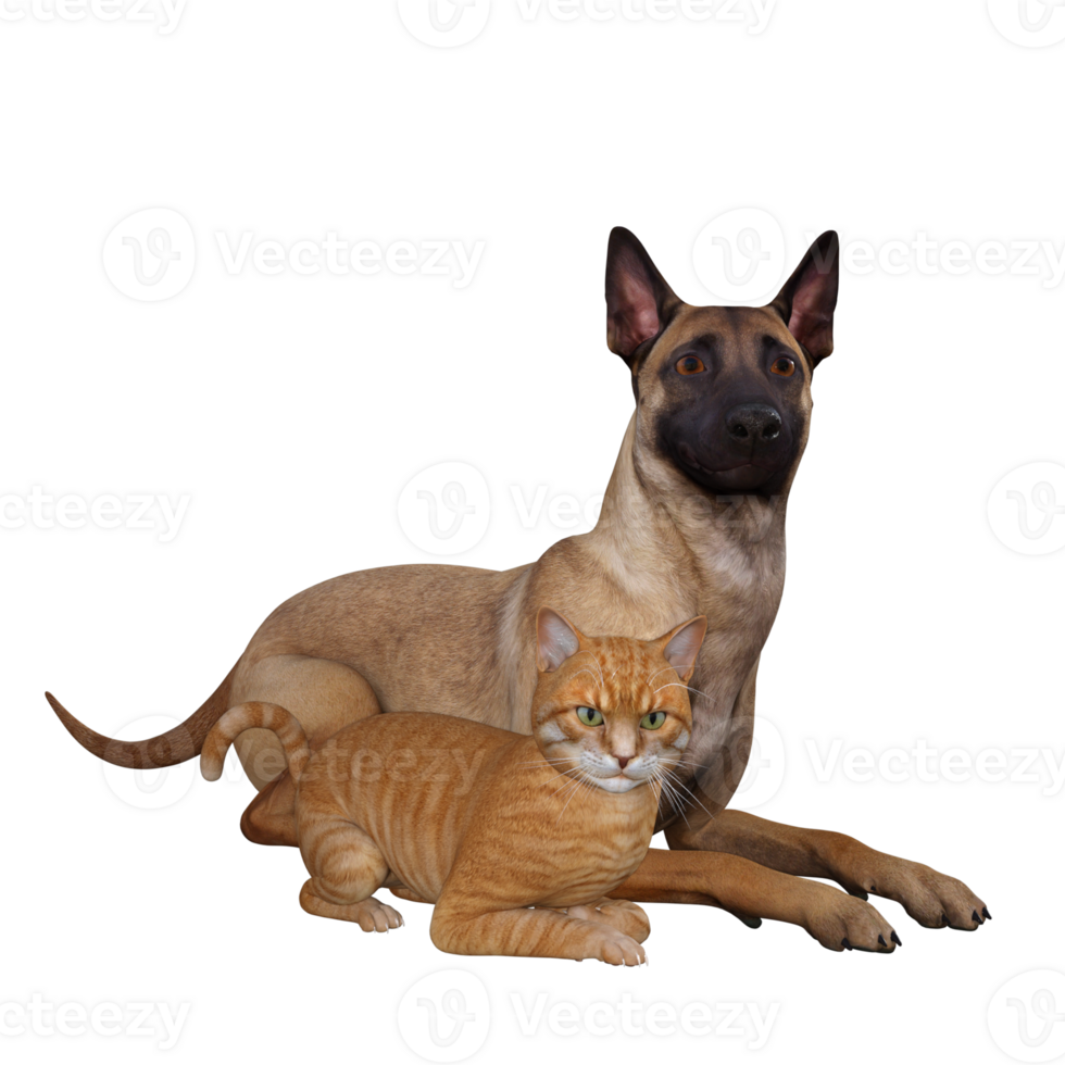 Dog And Cat Friends 27140385 PNG dog-and-cat-friends-27140385-png