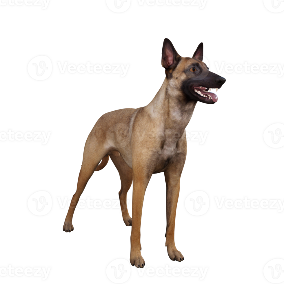 Dog isolated 3d png