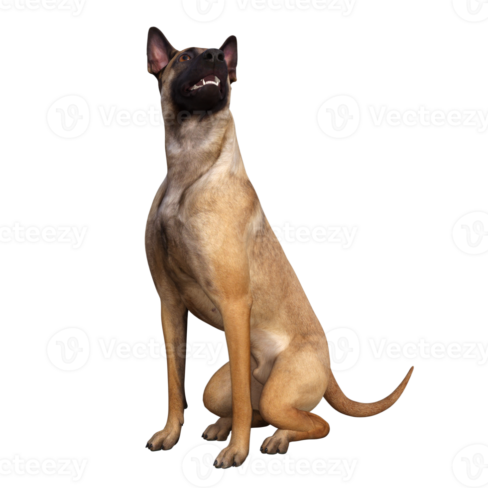 Dog isolated 3d png