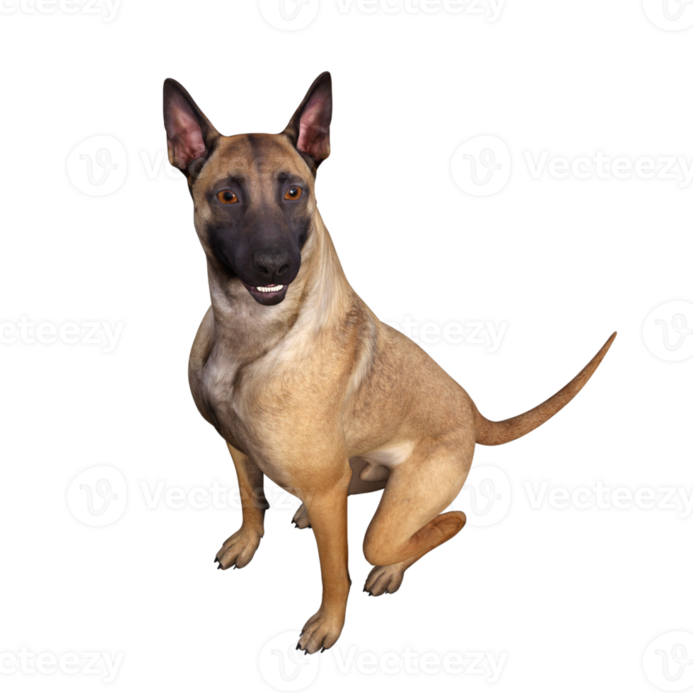 Dog isolated 3d png