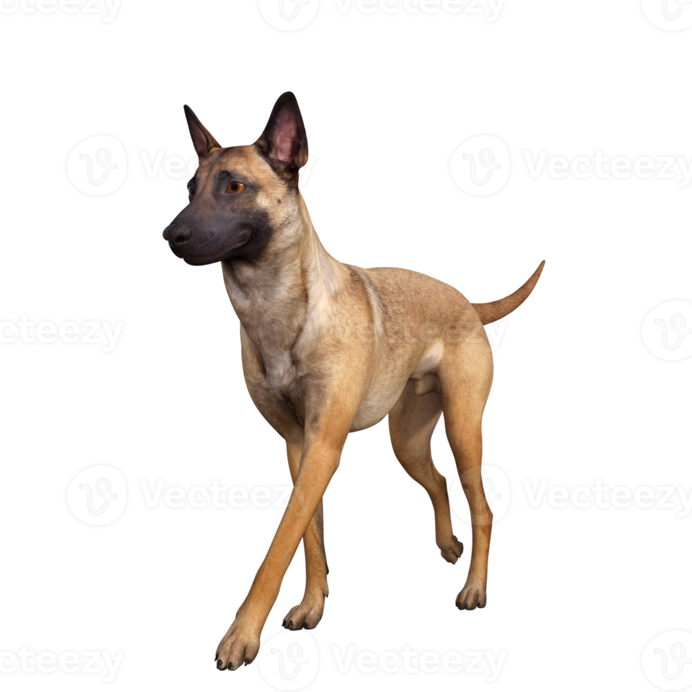 Dog isolated 3d png