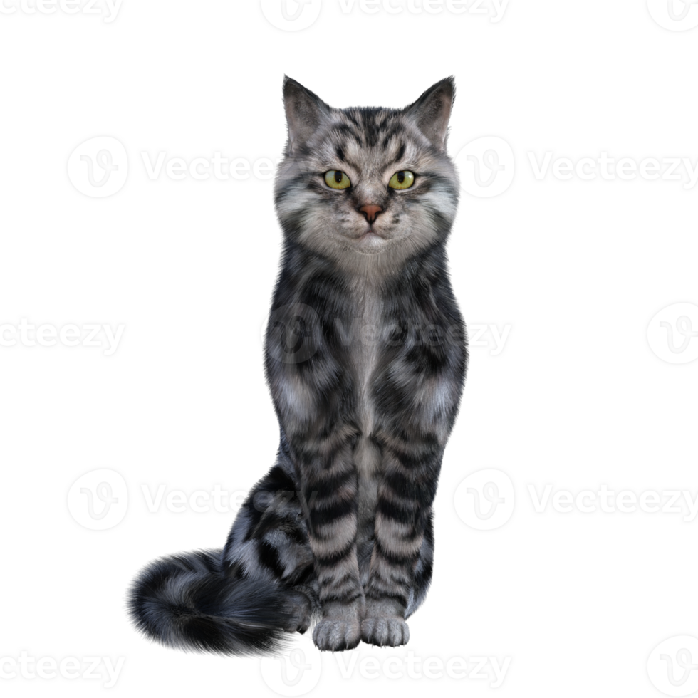 Cat isolated 3d png
