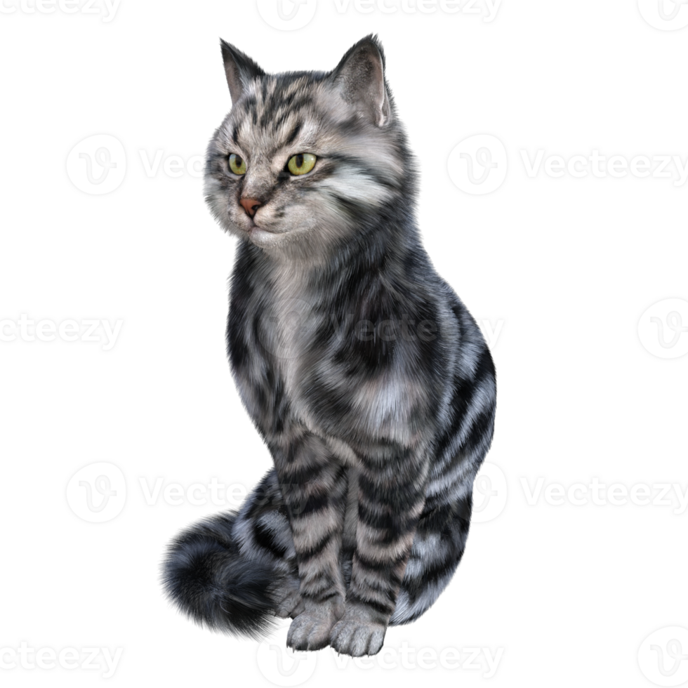 Cat isolated 3d png