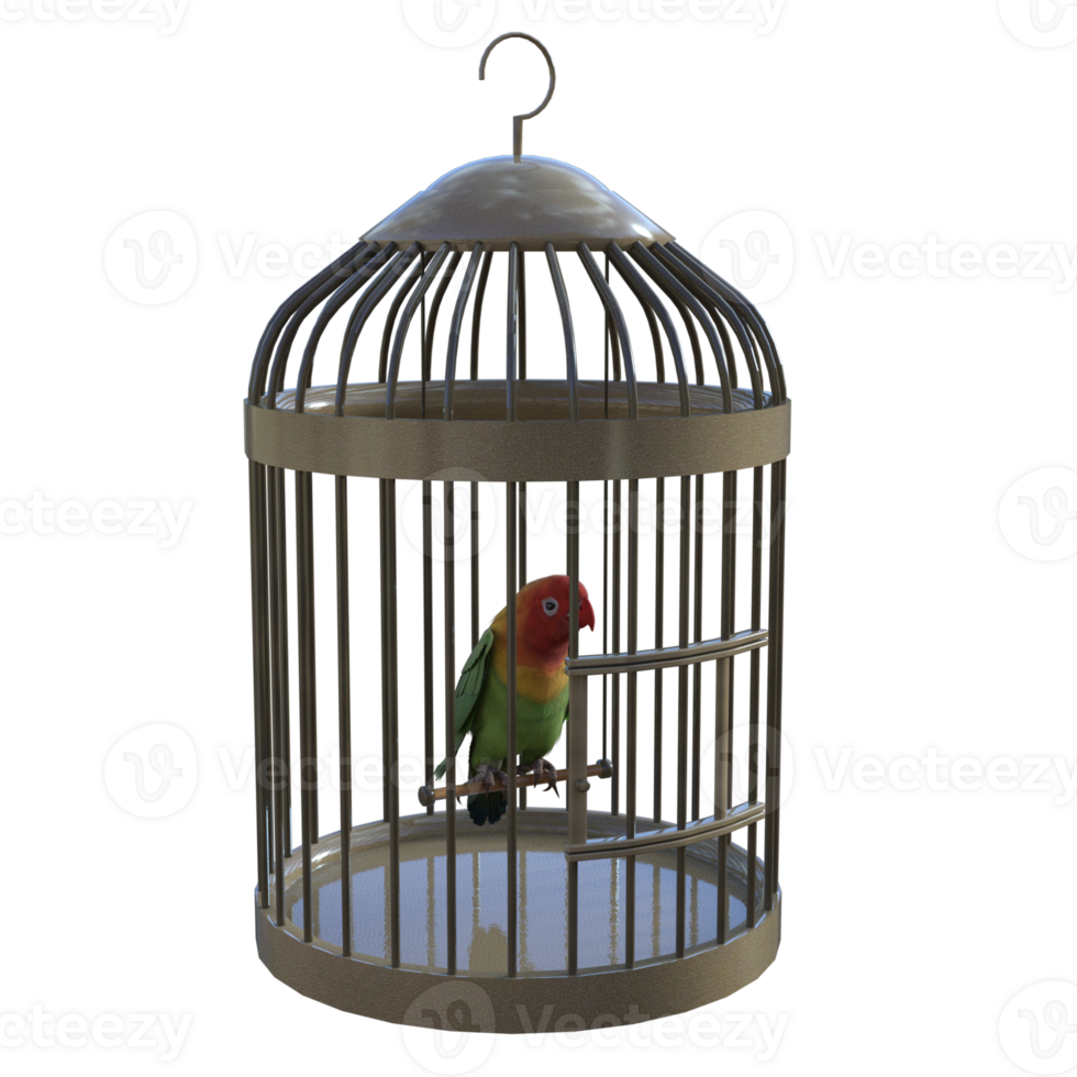 birdcage isolated 3d png