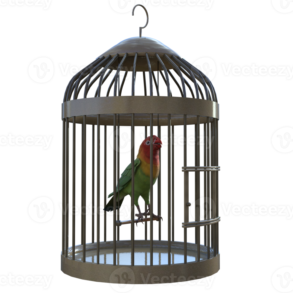 birdcage isolated 3d png