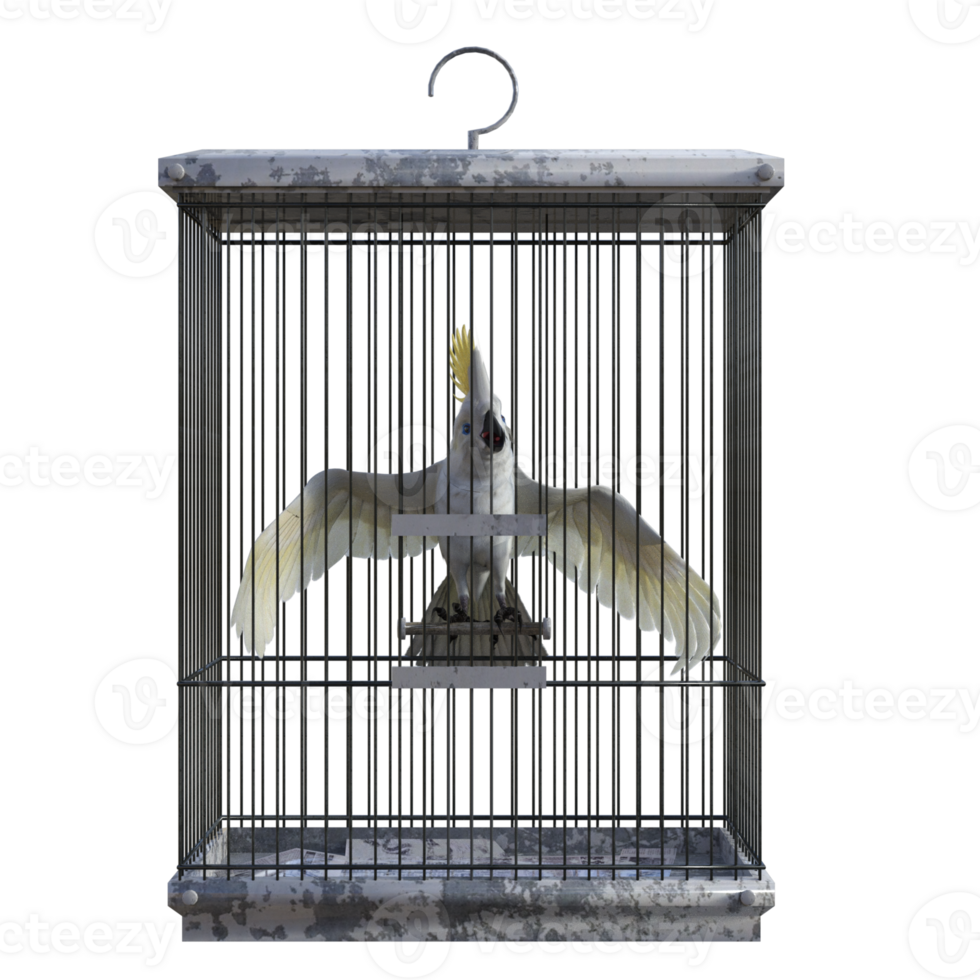 birdcage isolated 3d png