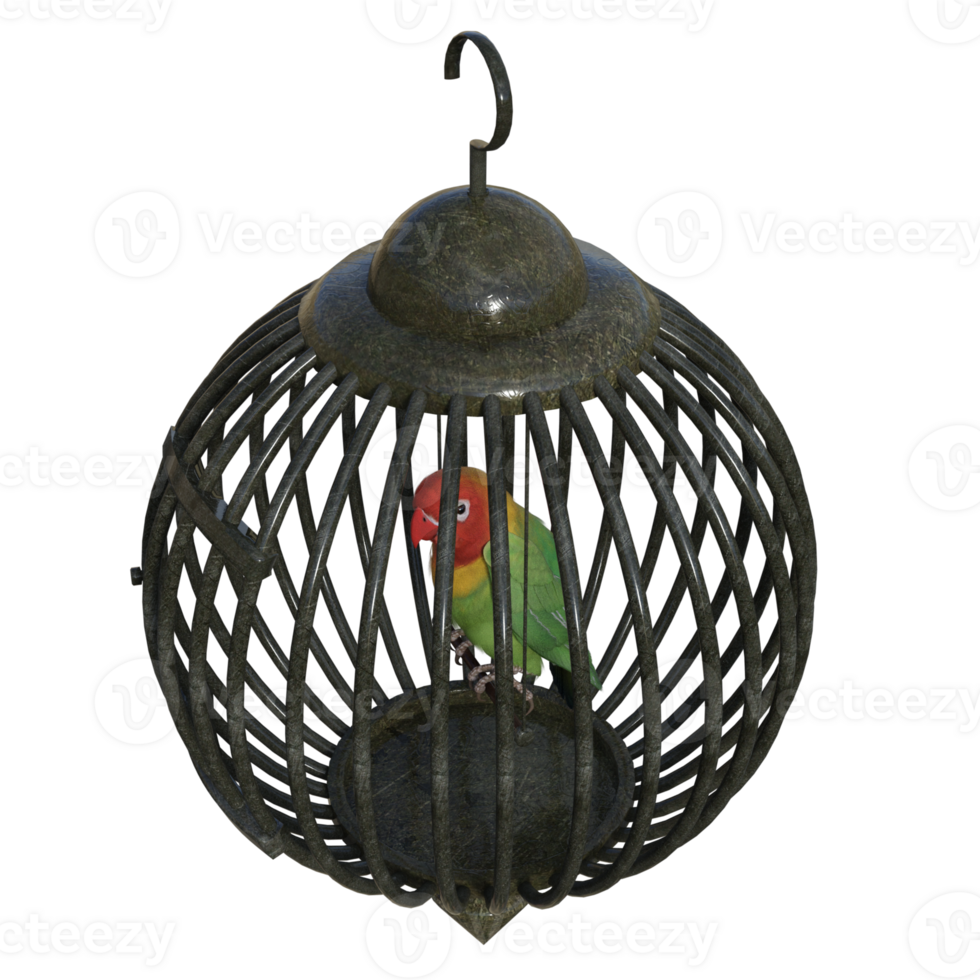 vogelkooi geïsoleerd 3d png