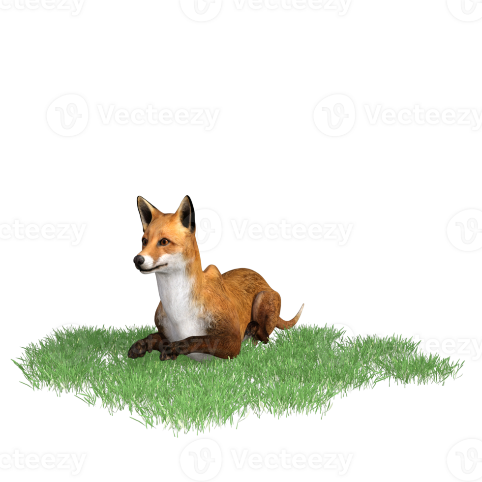 Fox animal isolated 3d png
