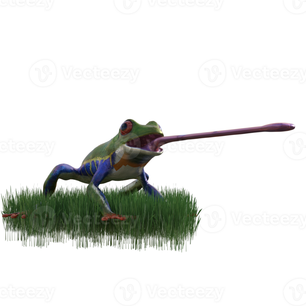 frog animal isolated 3d png