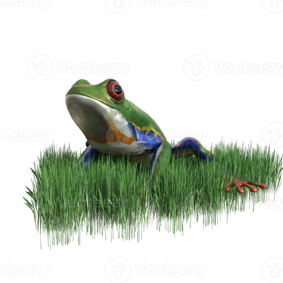 frog animal isolated 3d png