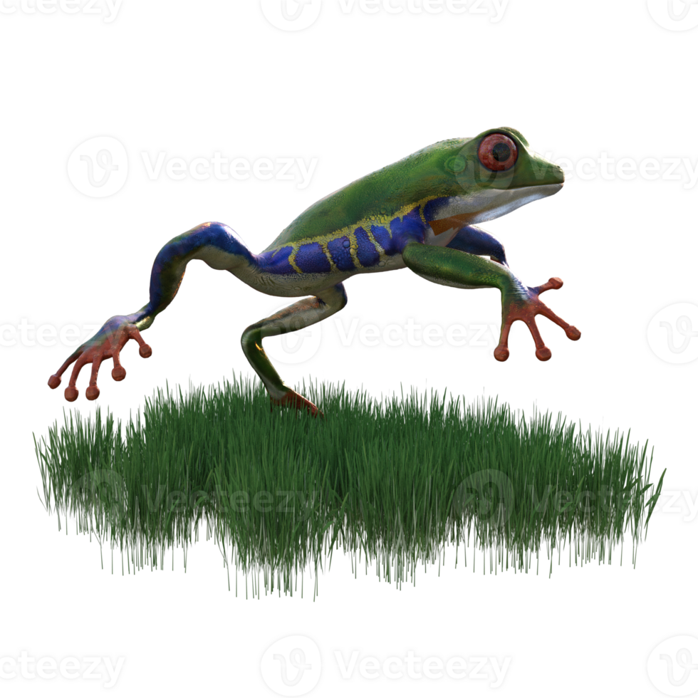 frog animal isolated 3d png