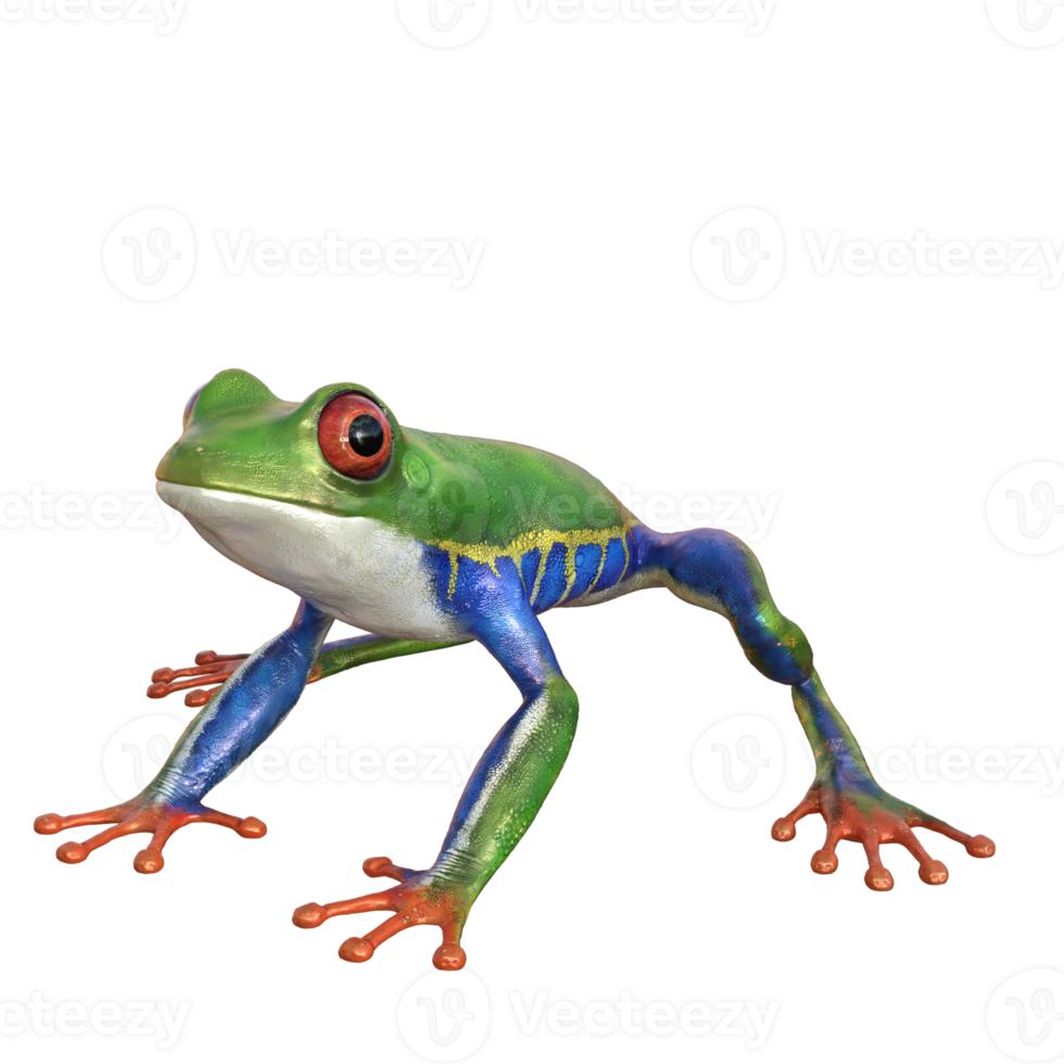 frog animal isolated 3d png