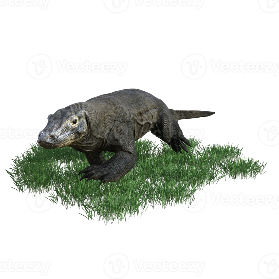 Komodo animal isolated 3d png
