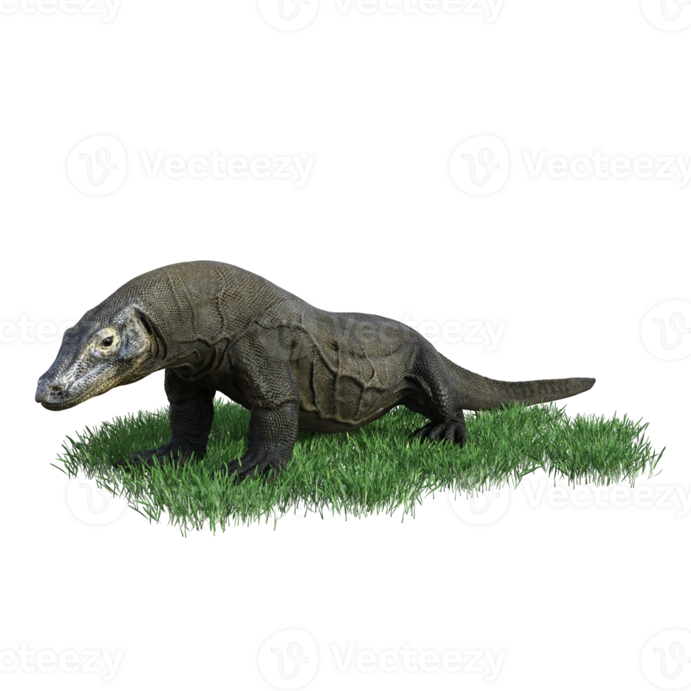 Komodo animal isolated 3d png