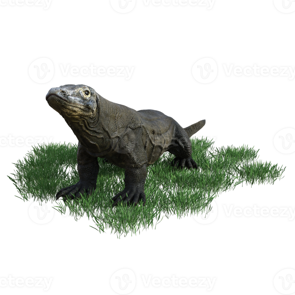 Komodo animal isolated 3d png