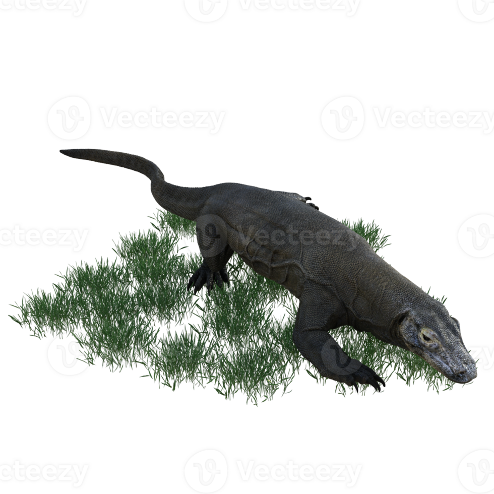 Komodo animal isolated 3d png