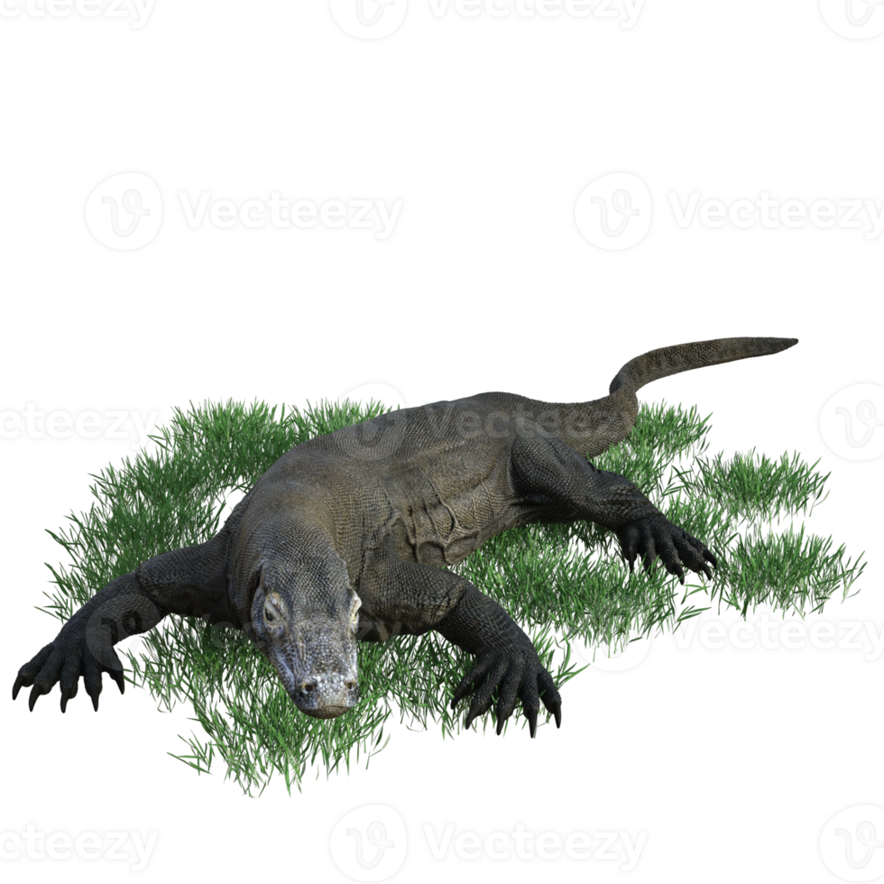 Komodo animal isolated 3d png