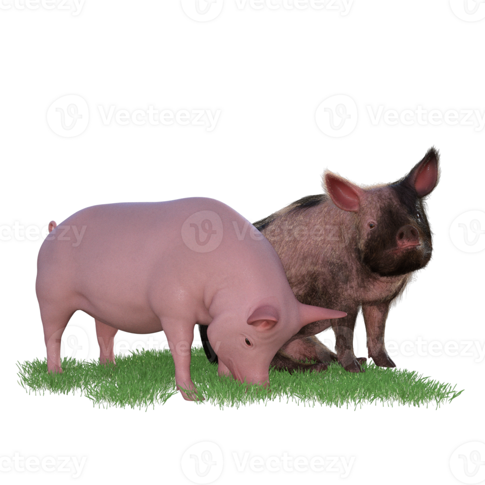 Pig in glass png