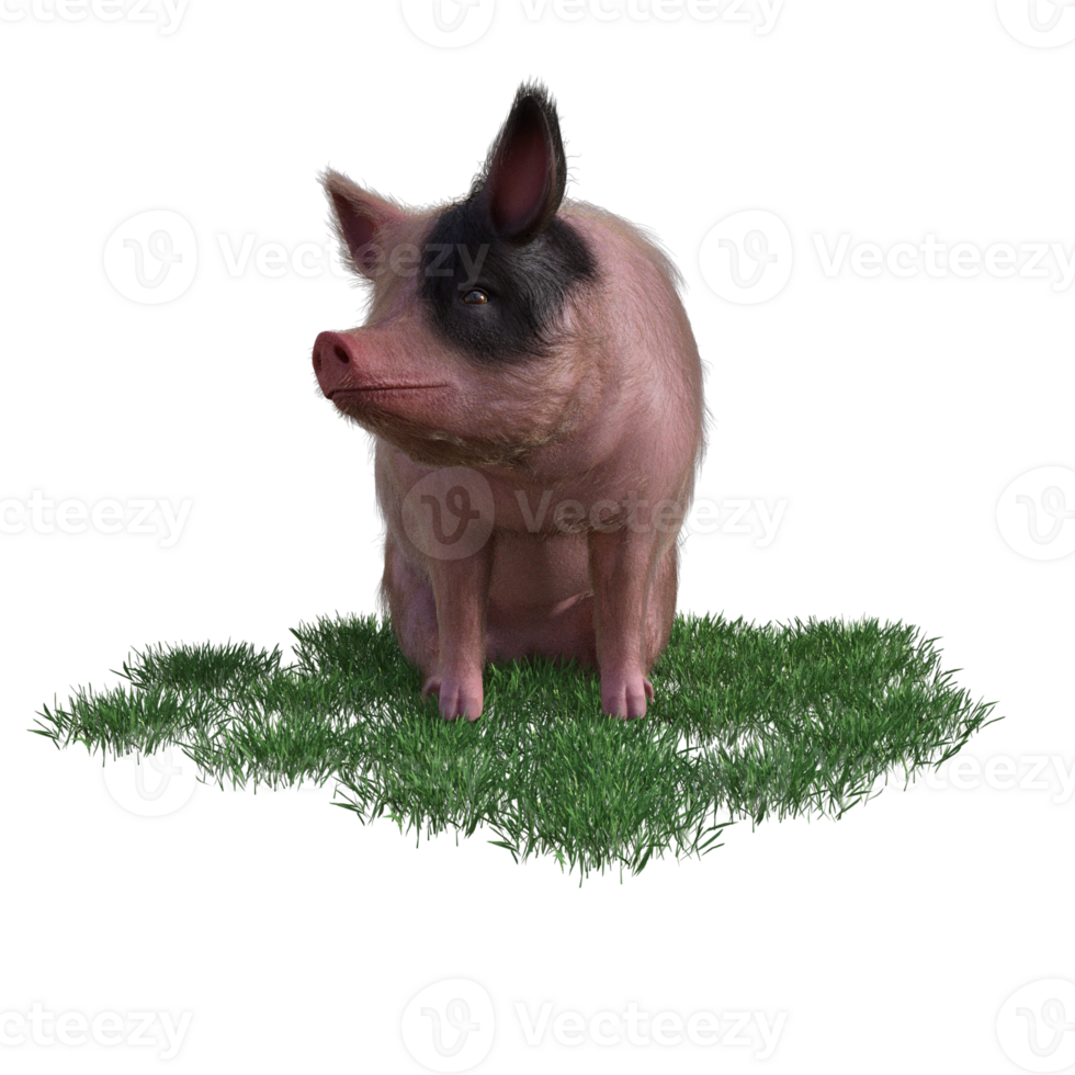Pig in glass png