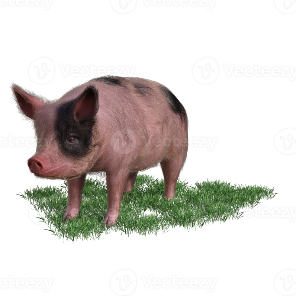 Pig in glass png