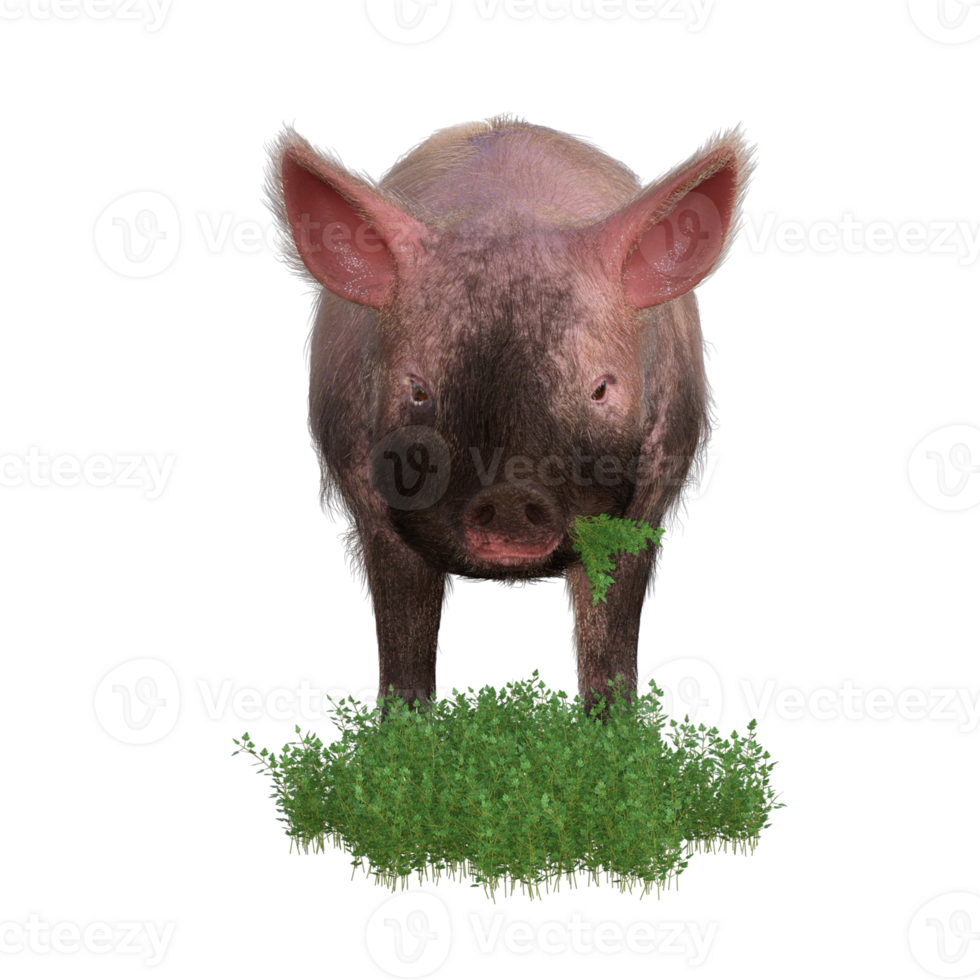 Pig in glass png