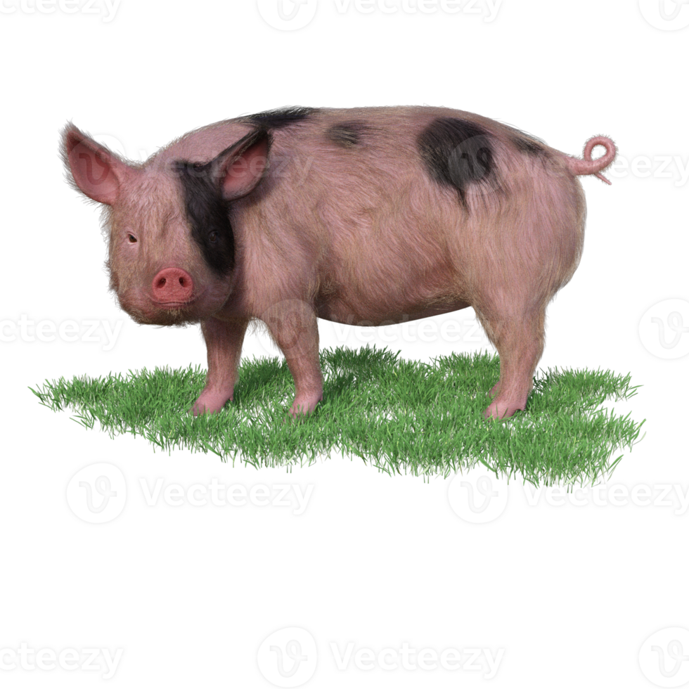Pig in glass png