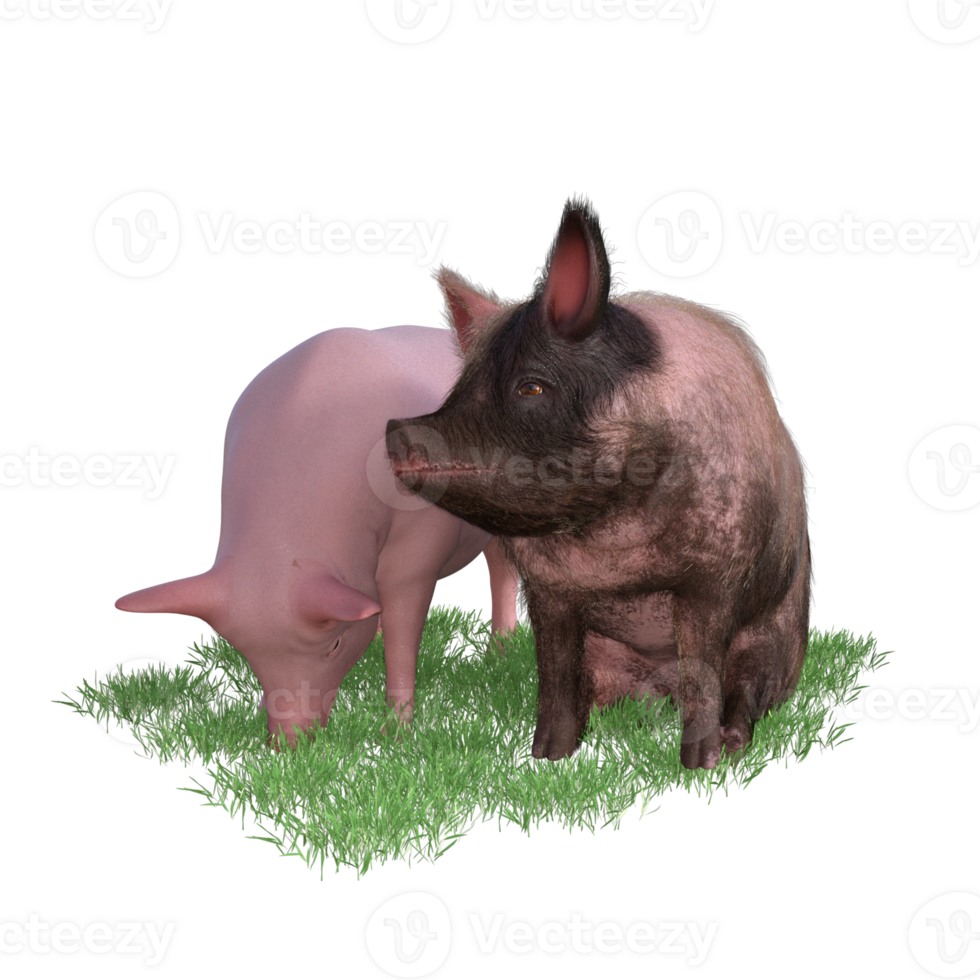 Pig in glass png