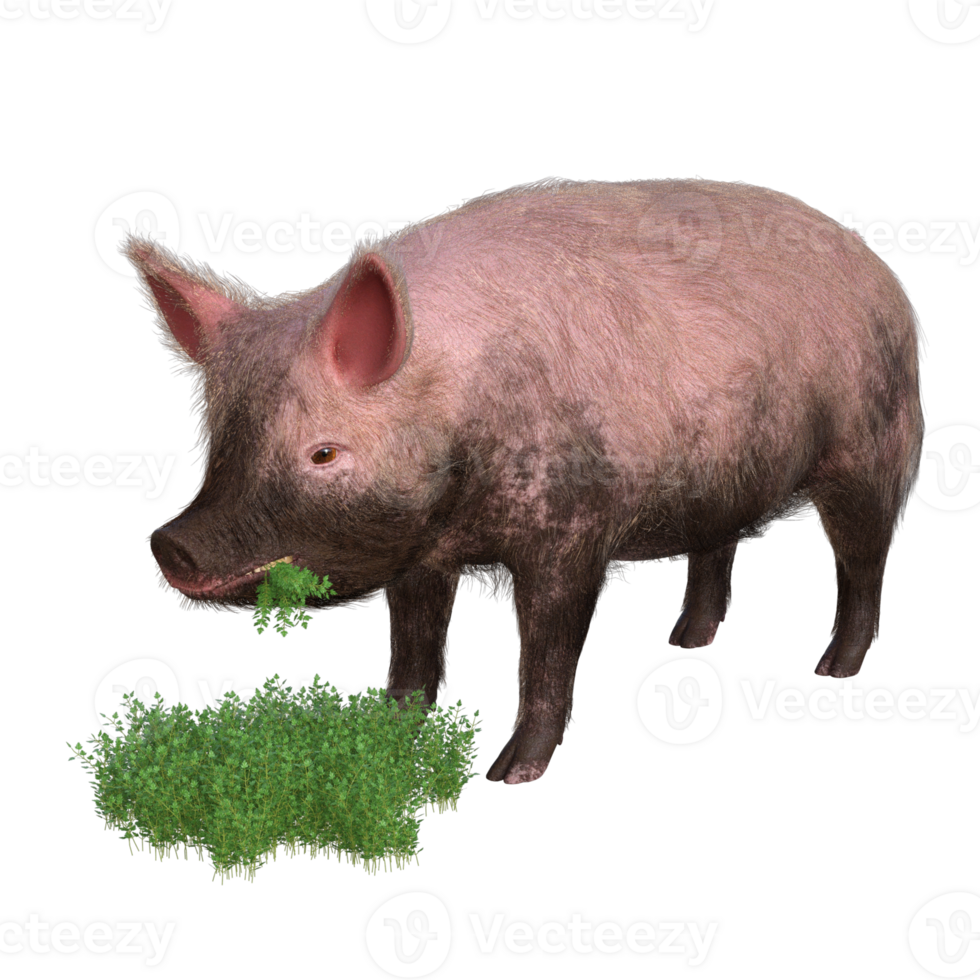 Pig in glass png