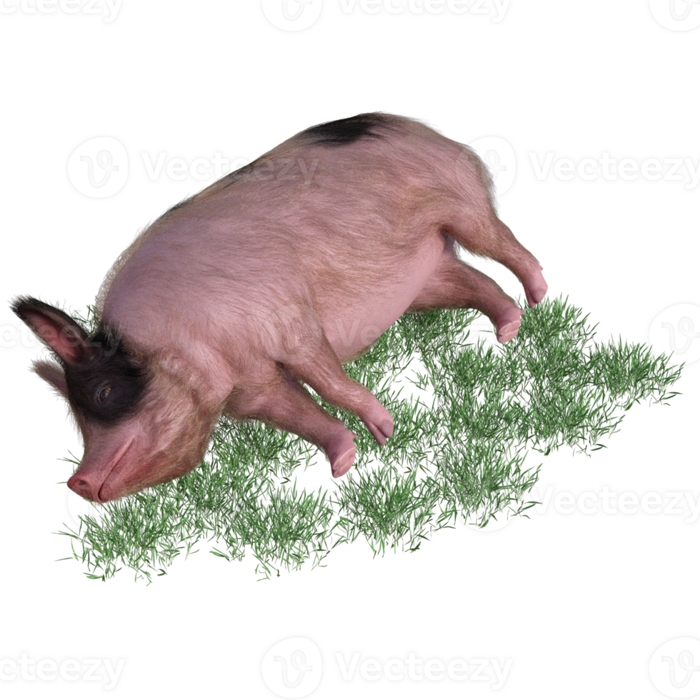 Pig in glass png