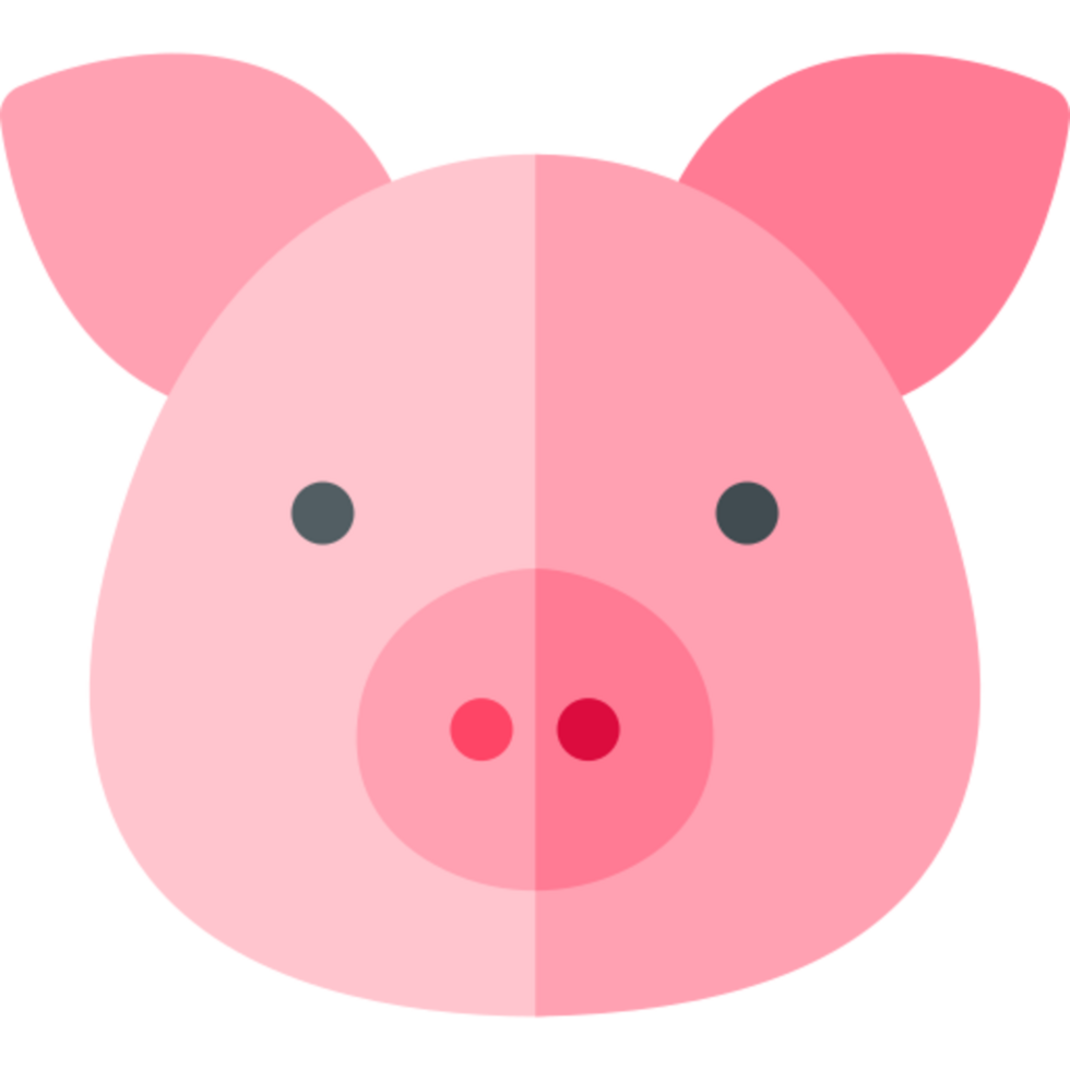pig illustration design png
