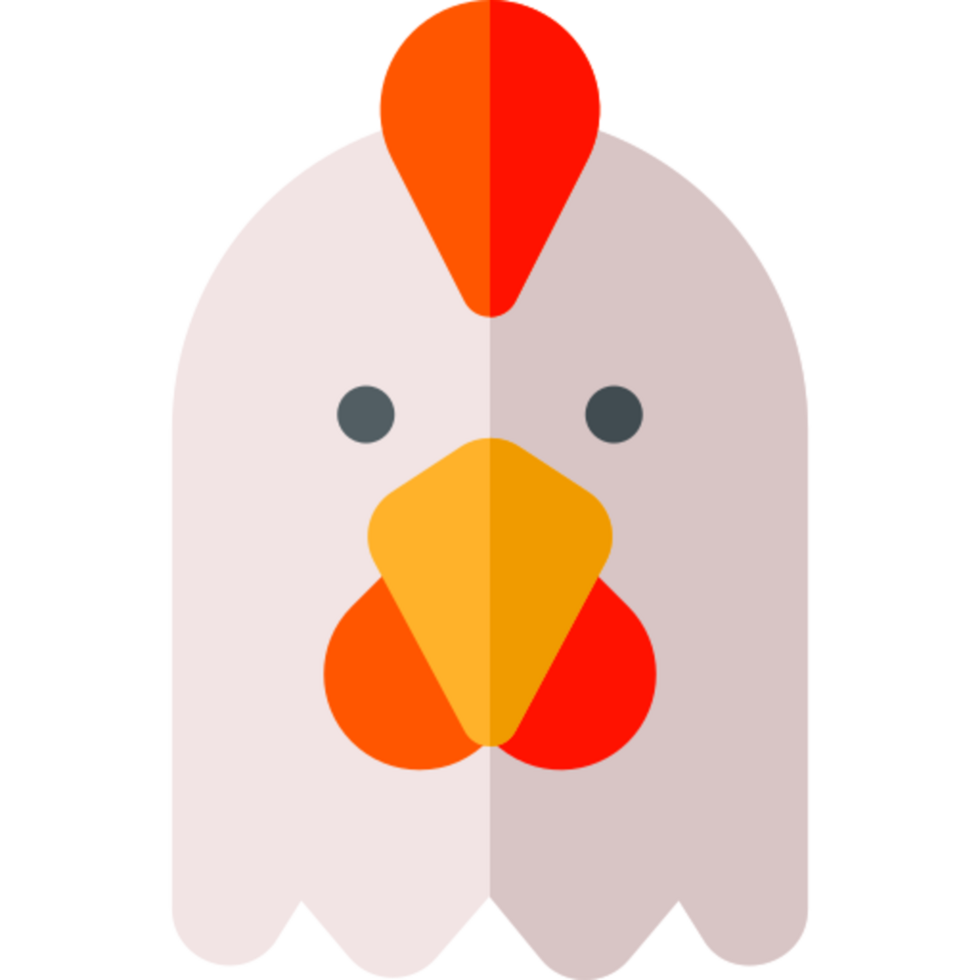 chicken illustration design png