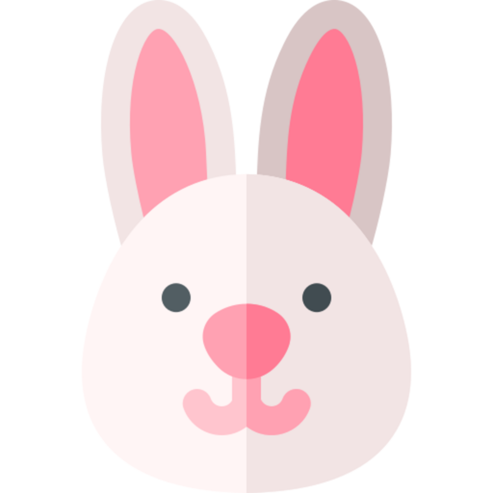 rabbit illustration design png