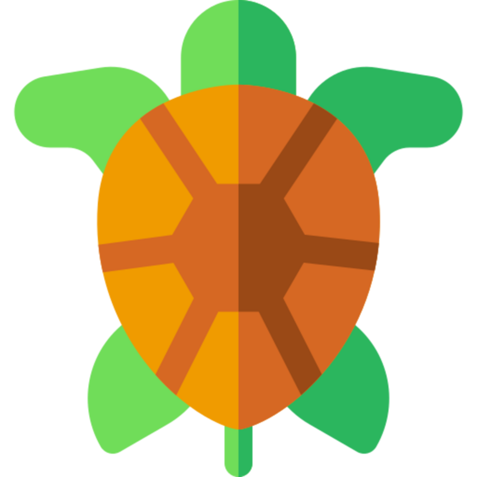 turtle illustration design png