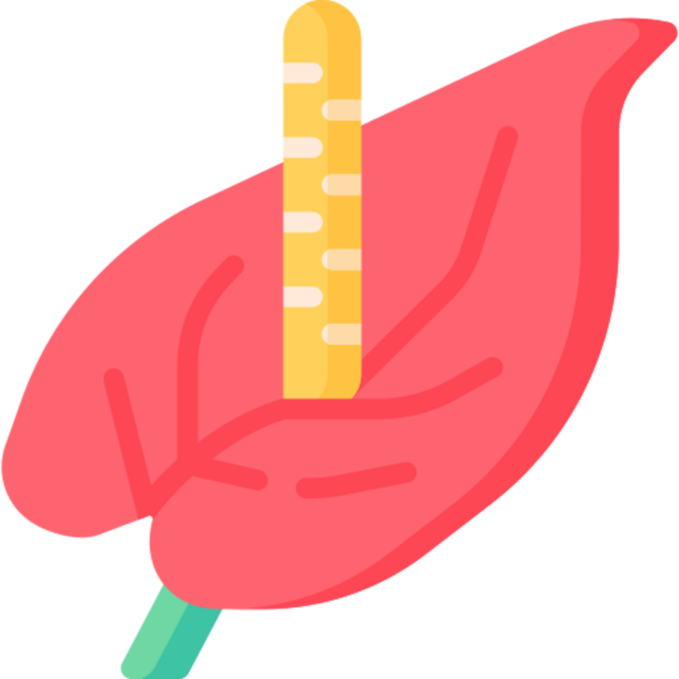 flower illustration design png
