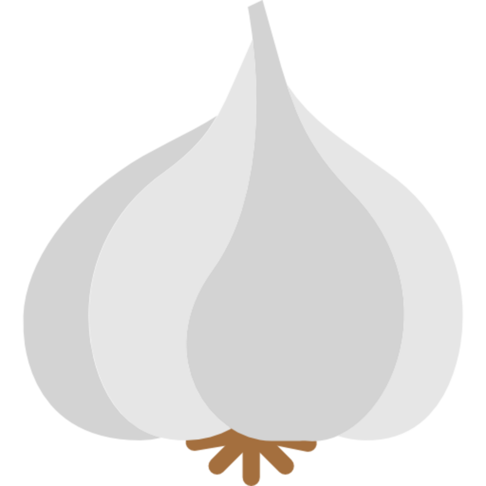 garlic illustration design png