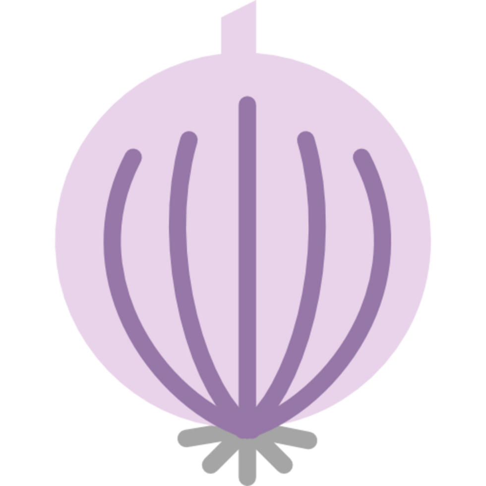 onion illustration design png