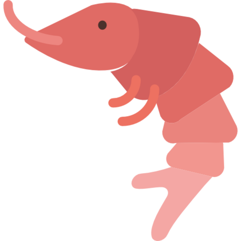 shrimp illustration design png