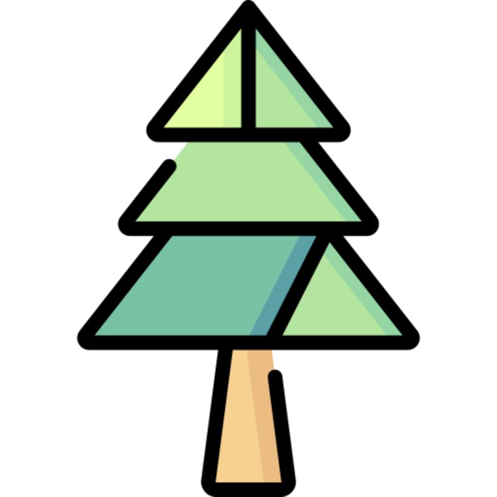 pine tree illustration design png