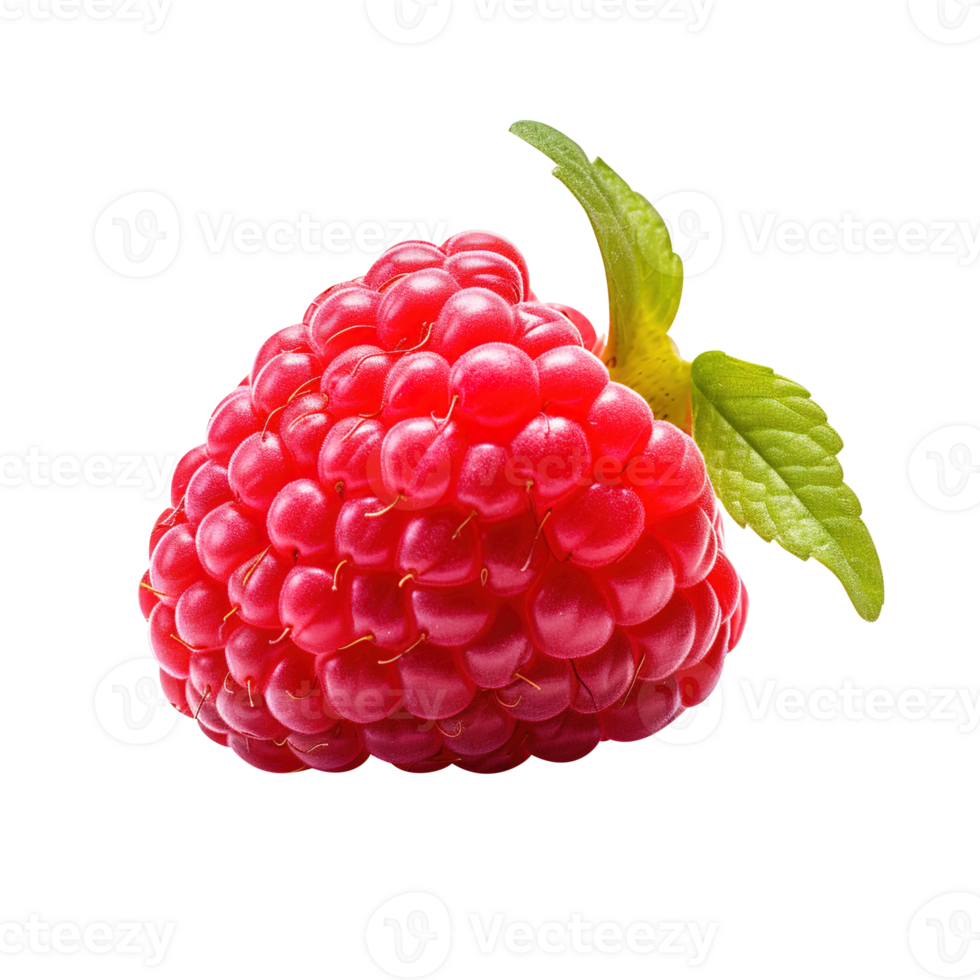 Ripe red raspberry with leaf, created with png
