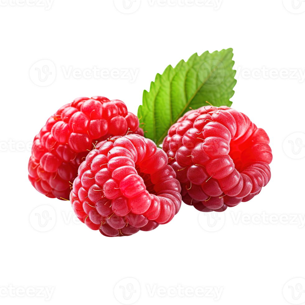 Ripe red raspberry with leaf, created with 27141276 PNG