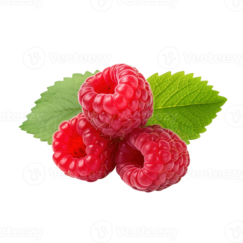 Ripe red raspberry with leaf, created with Generative AI png