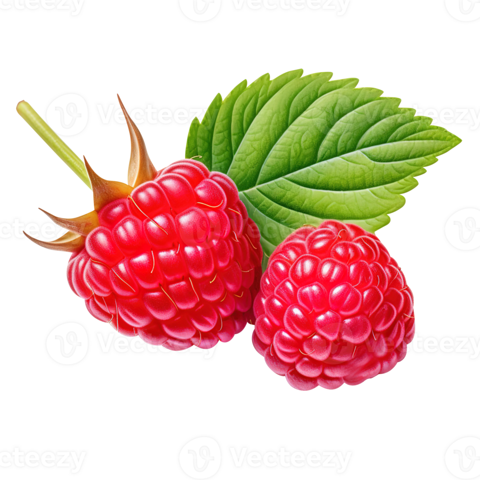 Ripe red raspberry with leaf, created with Generative AI png