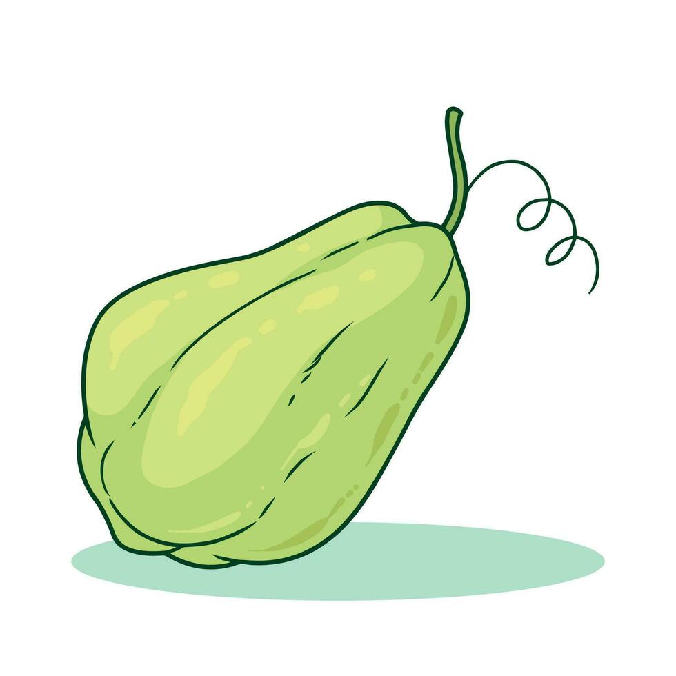 chayote vegetal vector ilustración