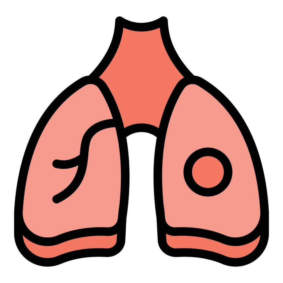 Lungs mri image icon vector flat