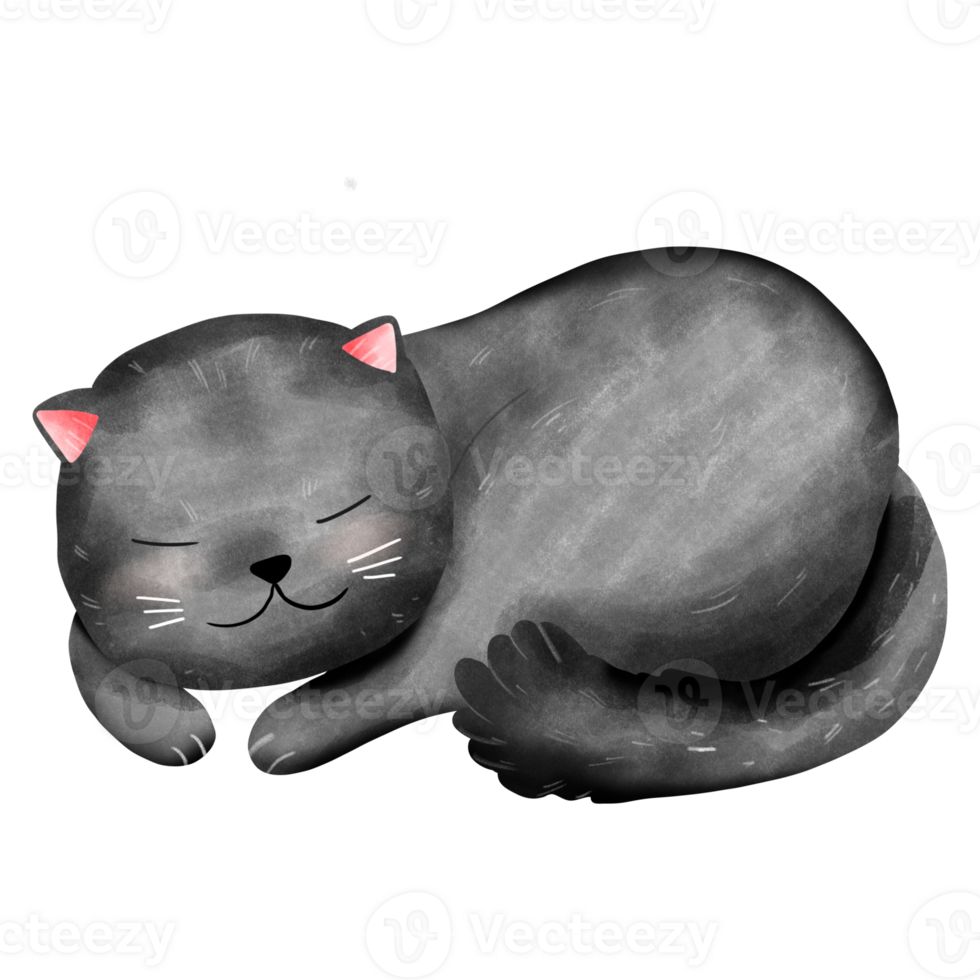 Black cozy cat png