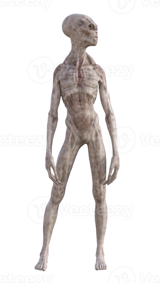 Grey alien on transparent background, 3d render png