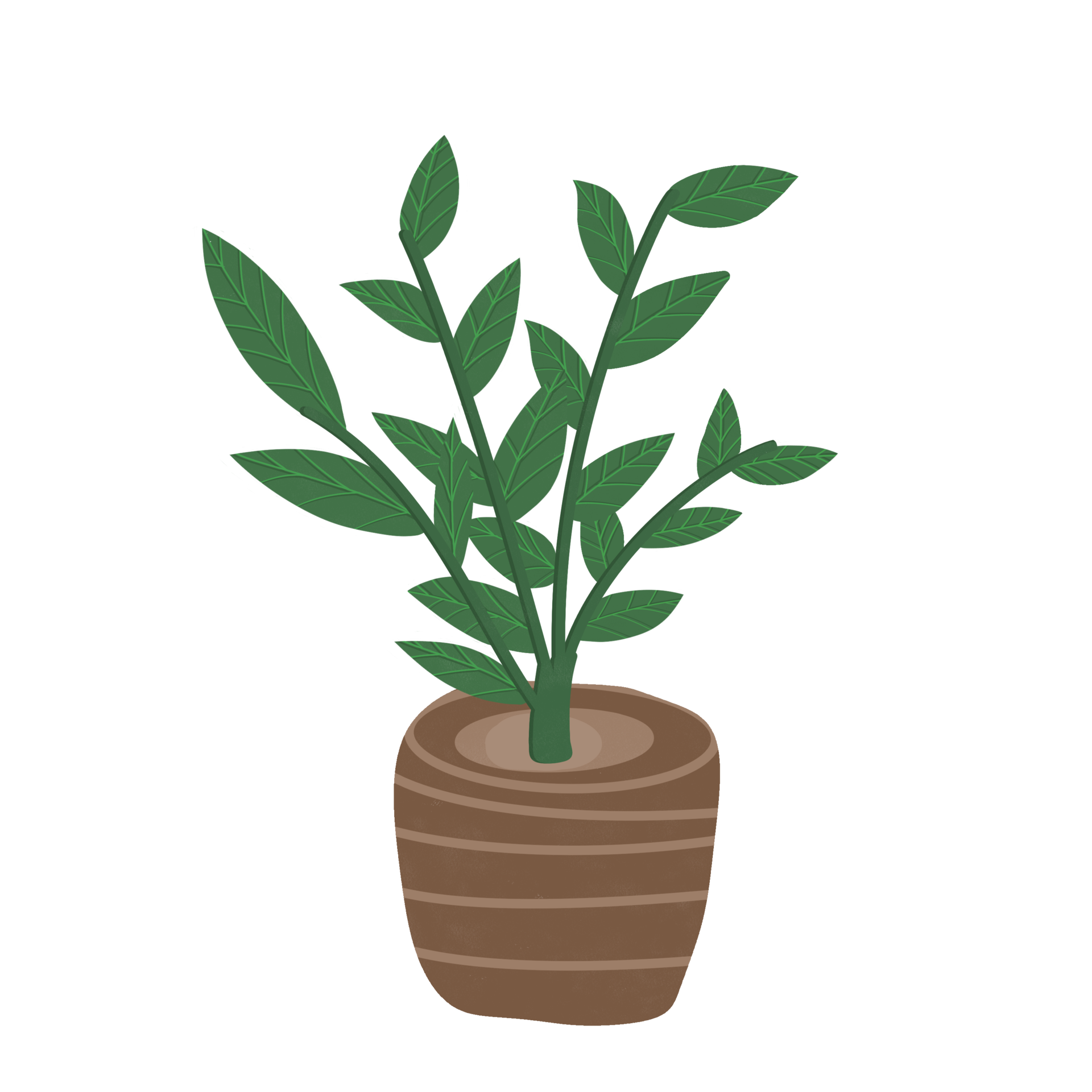 Green plants in pots 27143499 PNG