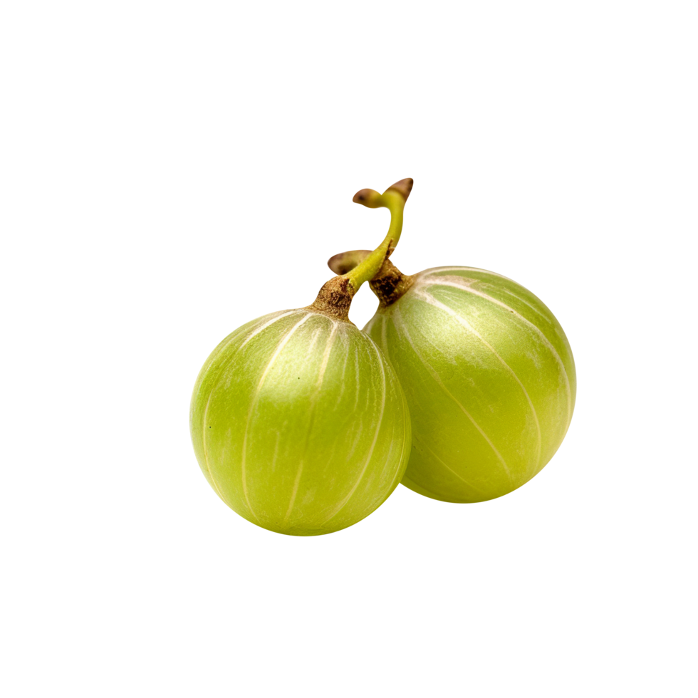 Fresh indian gooseberry isolated on transparent background png