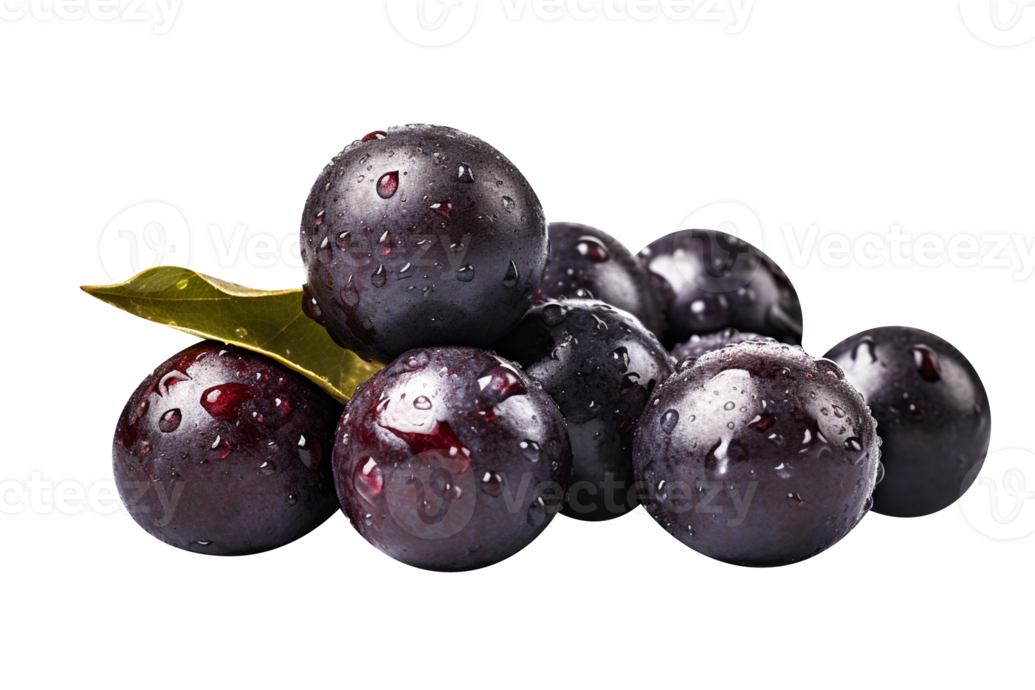 Fresh bunch acai berries isolated on transparent background png