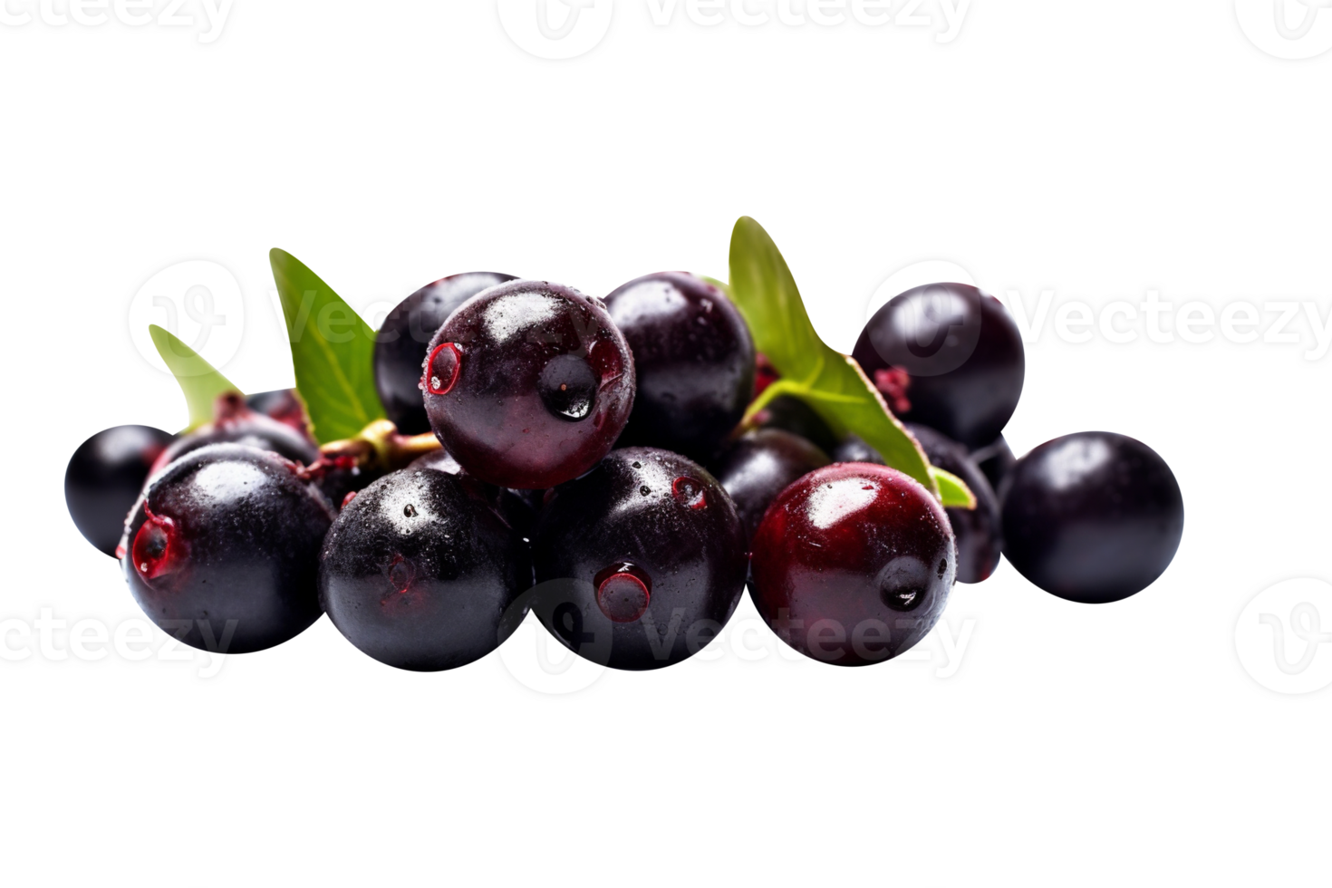 Fresh bunch acai berries isolated on transparent background png